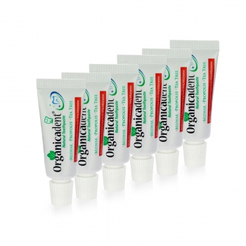 Travel Size Natural Toothpaste